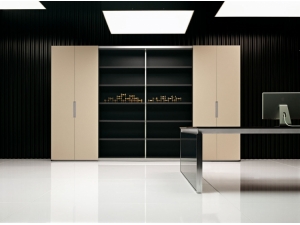 armoire de bureau bois et métal :: armoire de bureau  de prestige  AM 2