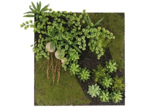accessoires et environnement  :: tableau mural végétal EG 1